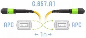 SNR-PC-MPO/APC-FF-SM-8F-A-1m - Оптический патчкорд MPO/APC - MPO/APC, FF (Female / Female), SM (G.657.A1), 8 волокон купить в Казани 	Оптический разъем MPO (Multi-fiber push-on) является разумной альтернативой для кабельной инфрастру