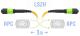SNR-PC-MPO/APC-MPO/APC-FF-SM-12F-3m - Оптический патчкорд MPO/APC - MPO/APC, FF (Female / Female), SM, 12 волокон, 3 метра