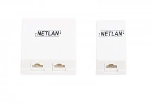 NETLAN EC-UWO-2-UD2-WT-10 - уп-ка 10шт., настенная розетка, 2 порта, Кат.5e, RJ45/8P8C, 110, T568A/B, неэкранированная, белая